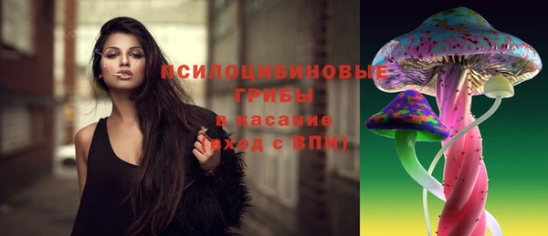 крисы Нефтекумск