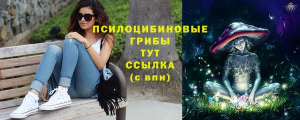 крисы Нефтекумск