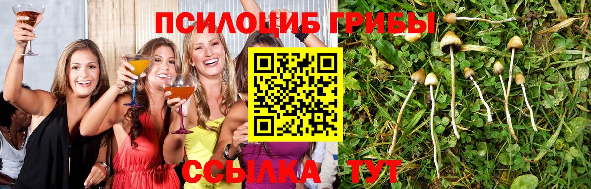 Мурманск  даркнет сайт  Вход с VPN  Галлюциногенные грибы Cubensis 