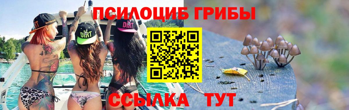 Псилоцибиновые грибы мухоморы Мурманск