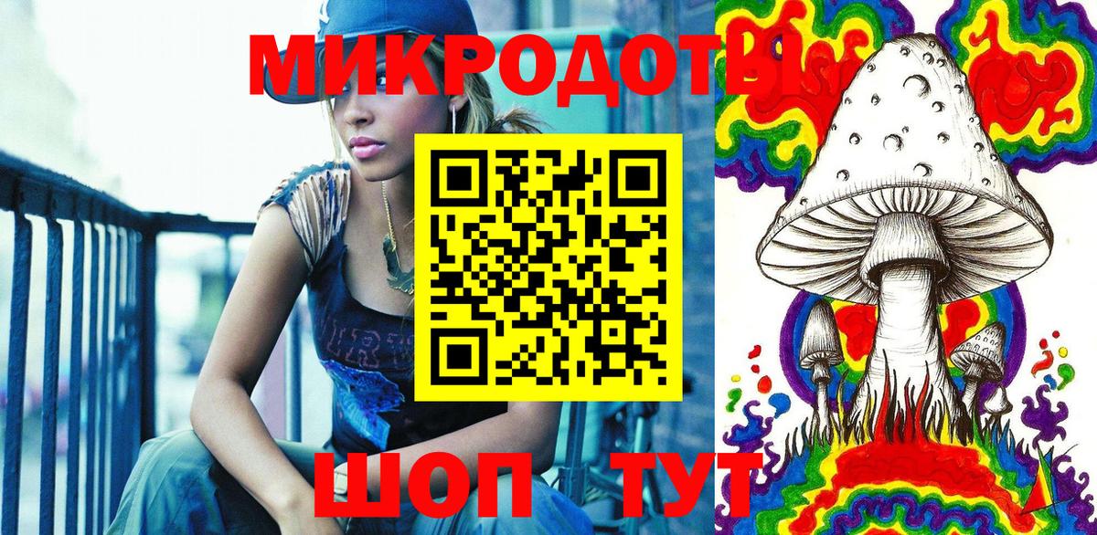Псилоцибиновые грибы Psilocybe Мурманск